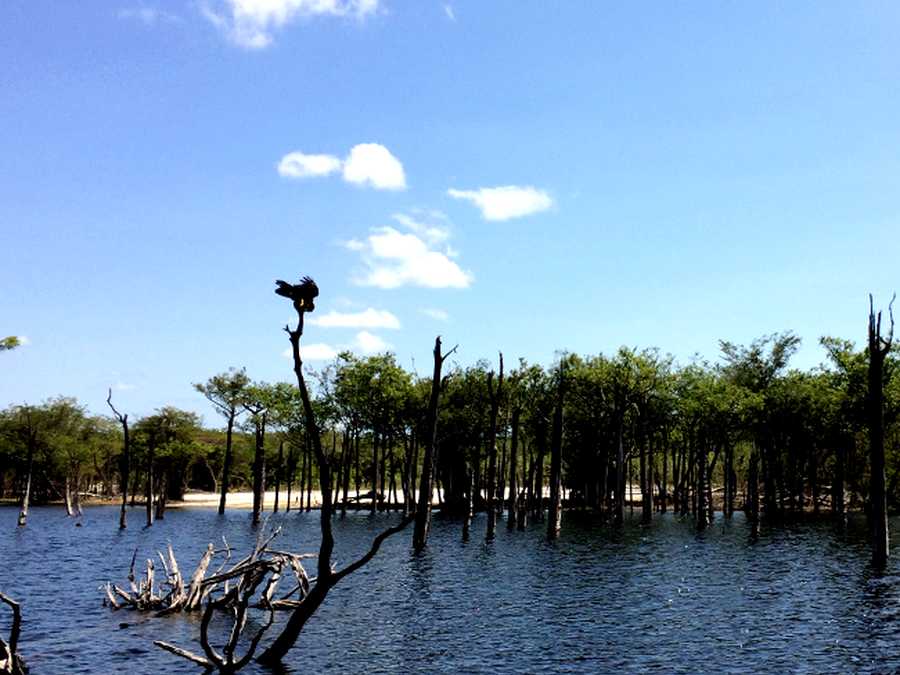 Lago acesso tucunaré-açu | Pescaria no Amazonas
