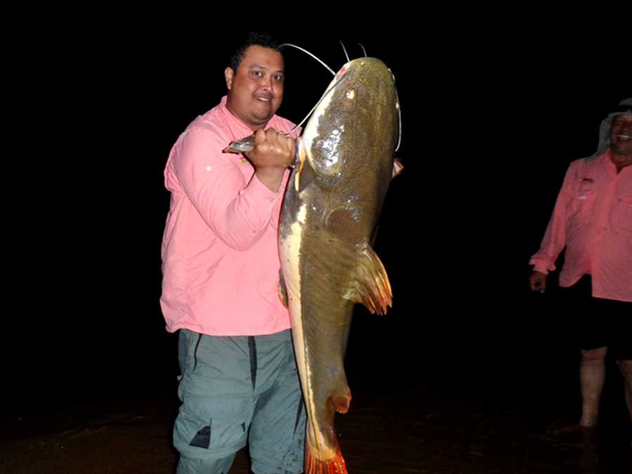 Pirarara Rio Uatumã | Grupos de Pesca Esportiva Amazonas