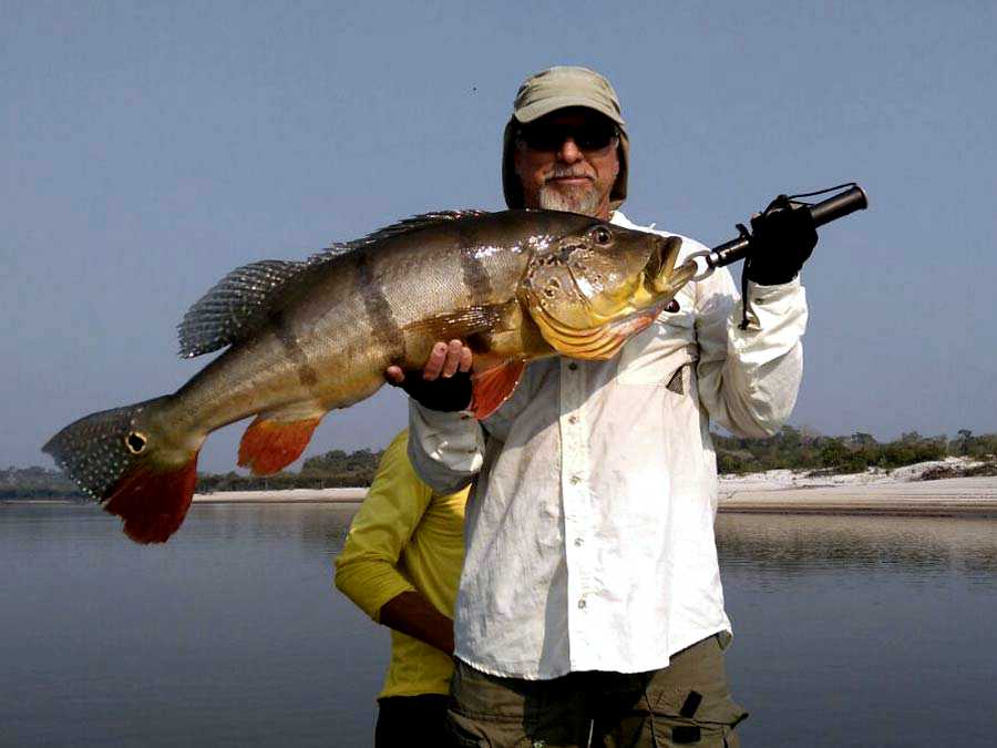 Tucunaré Açu Gigante no Rio Uatumã / AM | Pacotes de Pesca Esportiva na Amazônia