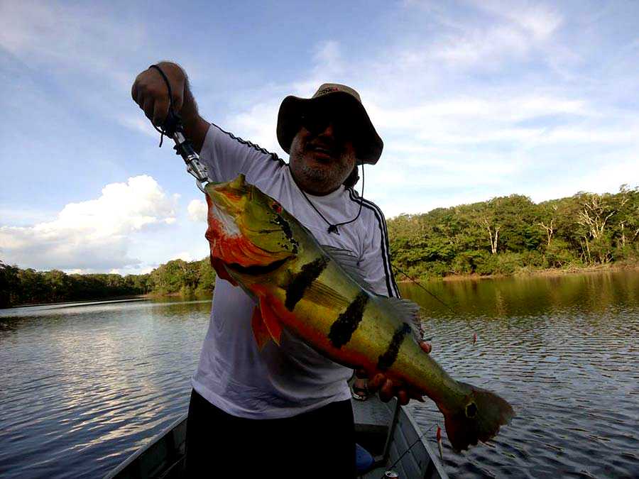 Grupos de pesca esportiva | Hotel Amazônia